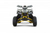 big_4