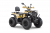 big_259A0190