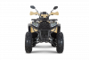 big_259A0174
